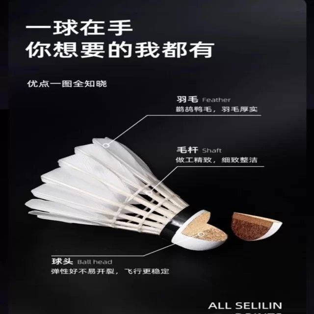 陈雨菲新赛程备受羽坛关注